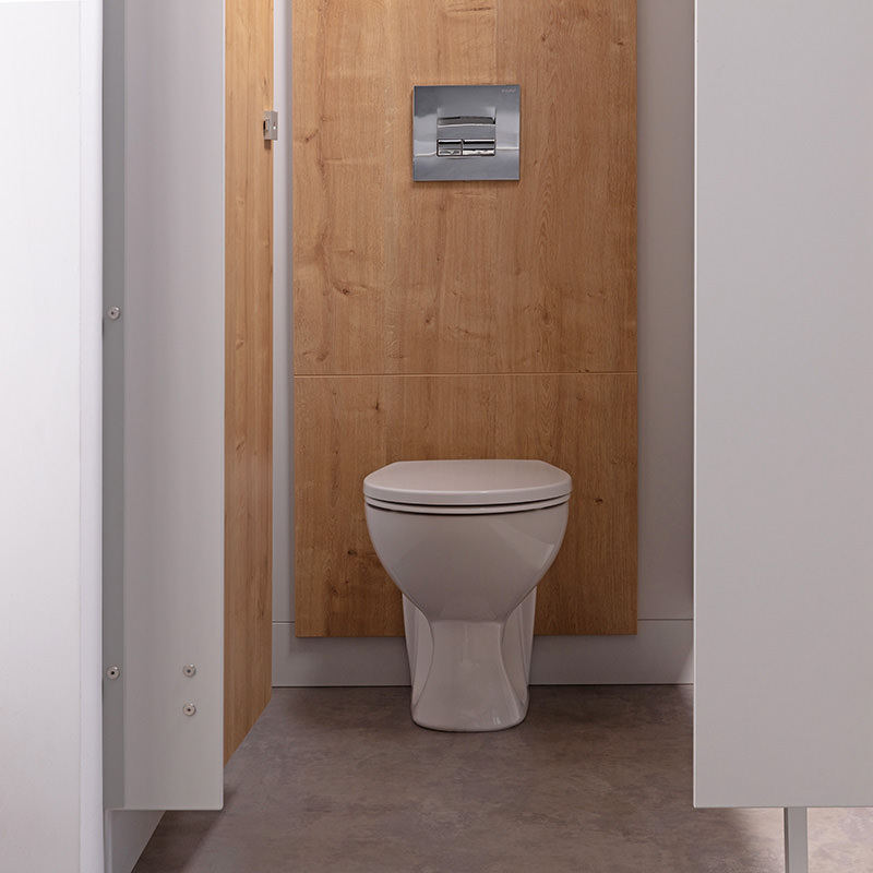 Back-to-Wall Toilet with Oak IPS Panels